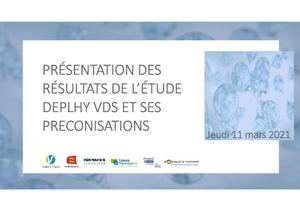 Restitution de l'étude Vallée de Seine DELPY - 11 mars 2021